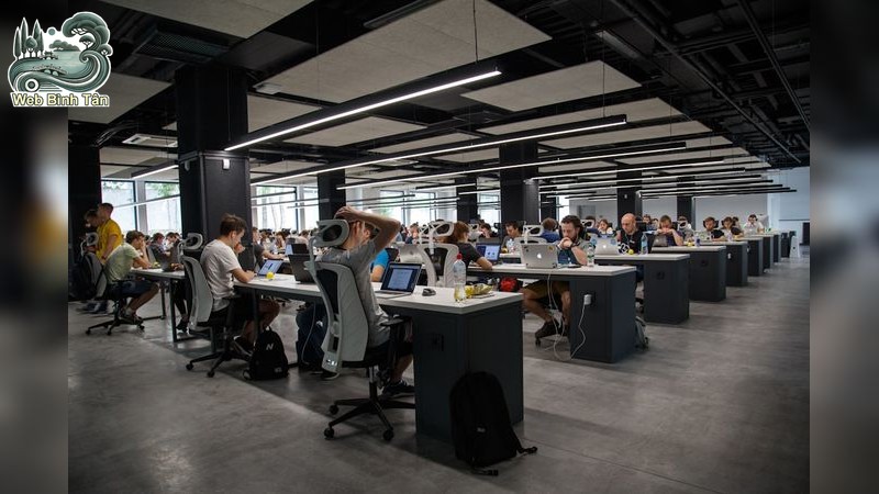 Báo Giá và Gói Dịch Vụ Linh Hoạt