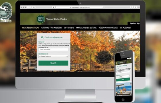 Quản trị website chuyên nghiệp – Quản lý toàn diện và tối ưu
